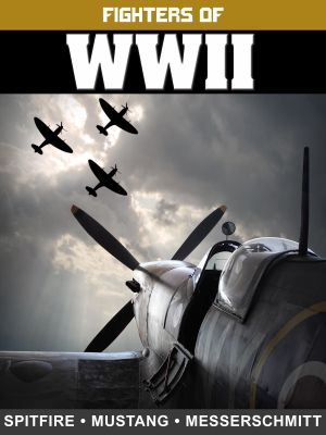 Fighters of WWII: Spitfire, Mustang, and Messerschmitt's poster