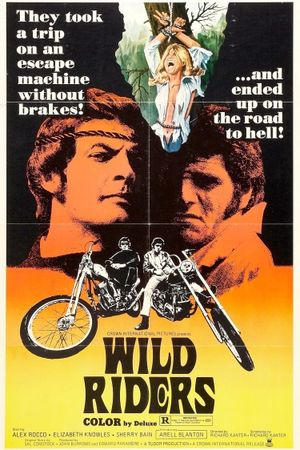 Wild Riders's poster