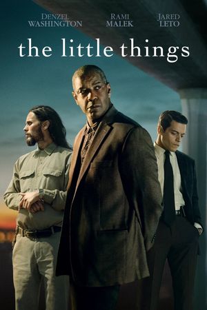 The Little Things's poster