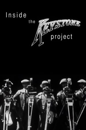 Inside the Keystone Project's poster