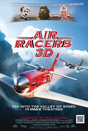 Air Racers 3D's poster