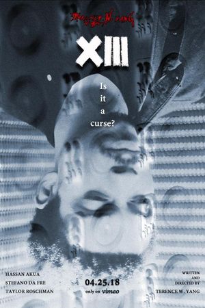 XIII's poster