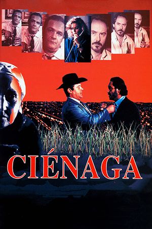 Ciénaga's poster