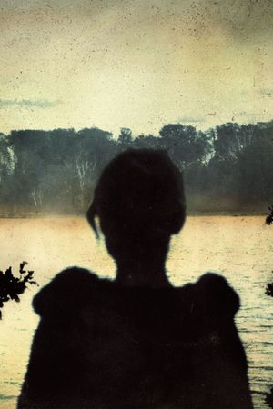 Porcupine Tree: Never Stop the Car on a Drive in the Dark's poster