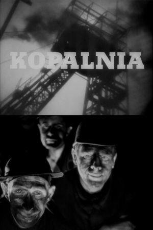 The Mine's poster