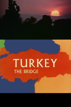 Turkey: The Bridge's poster