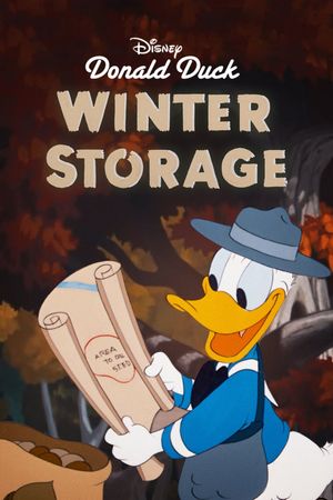 Winter Storage's poster