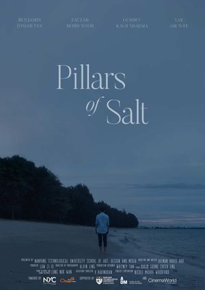 Pillars of Salt's poster image