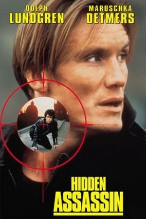 Hidden Assassin's poster