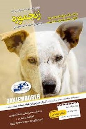 Zanjmoore's poster