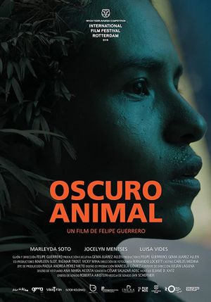 Oscuro animal's poster