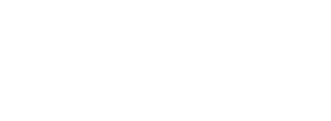 The Bouncer's poster