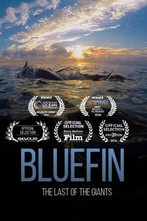 Bluefin's poster