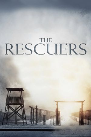 The Rescuers's poster