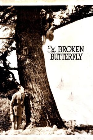 The Broken Butterfly's poster