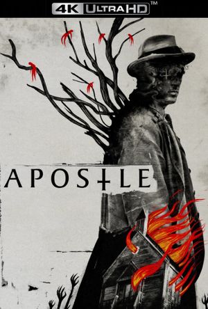 Apostle's poster
