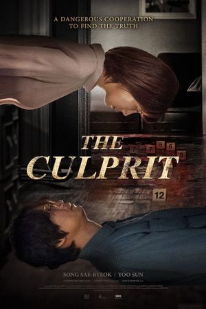 The Culprit's poster