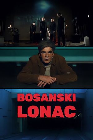 Bosnian Pot's poster