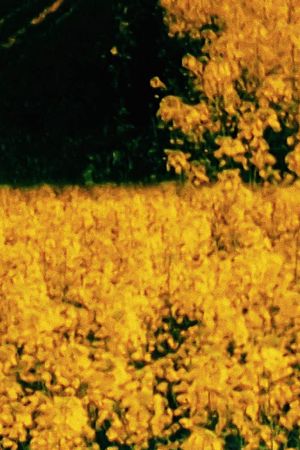 Seven Landscapes's poster