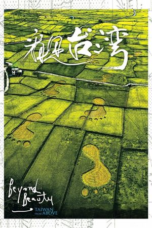 Beyond Beauty: Taiwan from Above's poster image