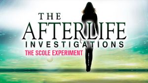 The Afterlife Investigations: The Scole Experiments's poster