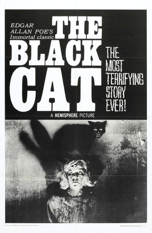 The Black Cat's poster