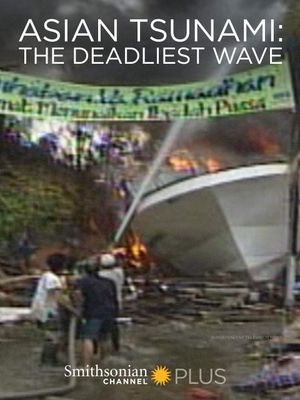 Asian Tsunami: The Deadliest Wave's poster image