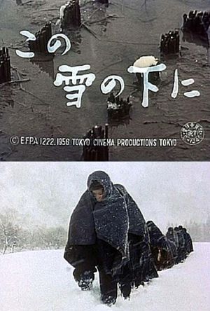 Country Life under Snow's poster