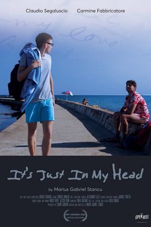 It's Just in My Head's poster