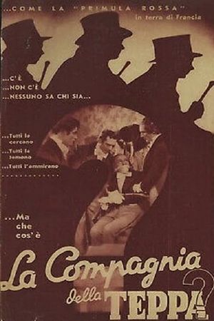 La compagnia della teppa's poster
