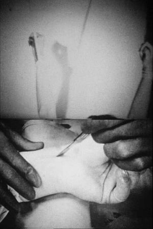 Blicklust's poster