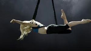 The Aerialist's poster