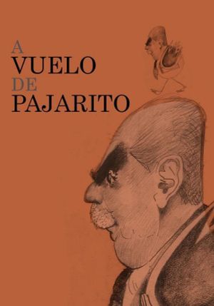 A vuelo de pajarito's poster image