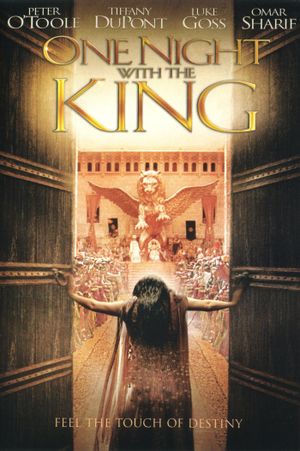 One Night with the King's poster