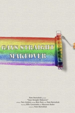 Gays Straight Makeover's poster