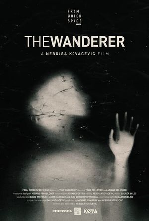 The Wanderer's poster