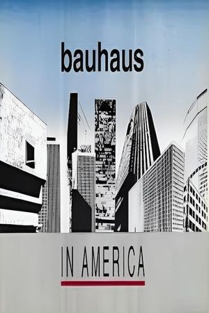 Bauhaus in America's poster