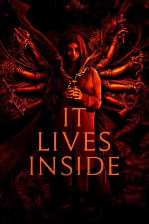 It Lives Inside's poster