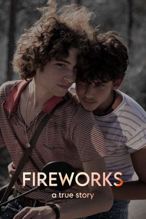 Fireworks's poster