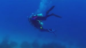Open Water's poster