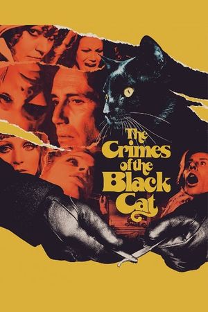 The Crimes of the Black Cat's poster