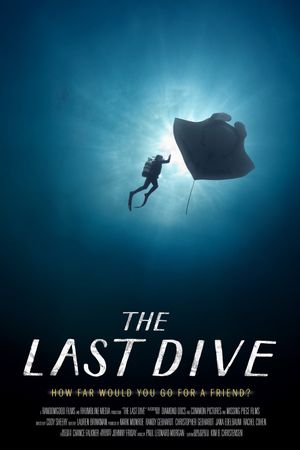 The Last Dive's poster