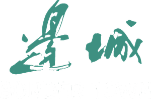 Border Town's poster