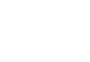 The Lion King's poster
