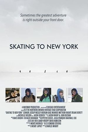 Skating to New York's poster