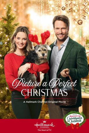 Picture a Perfect Christmas's poster