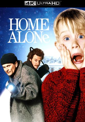 Home Alone's poster