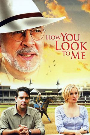 How You Look to Me's poster