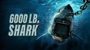 6000-LB. Shark's poster