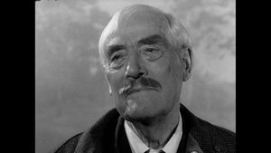 Wild Strawberries's poster